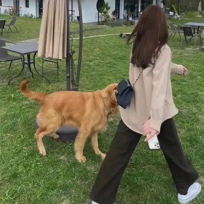 德绍舞者